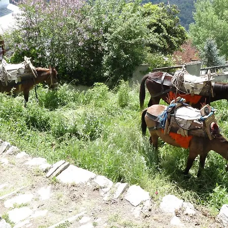 Archontiko Koilia Makrinítsa