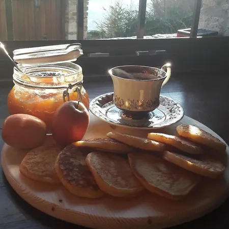 Archontiko Koilia Casa de hóspedes Makrinitsa